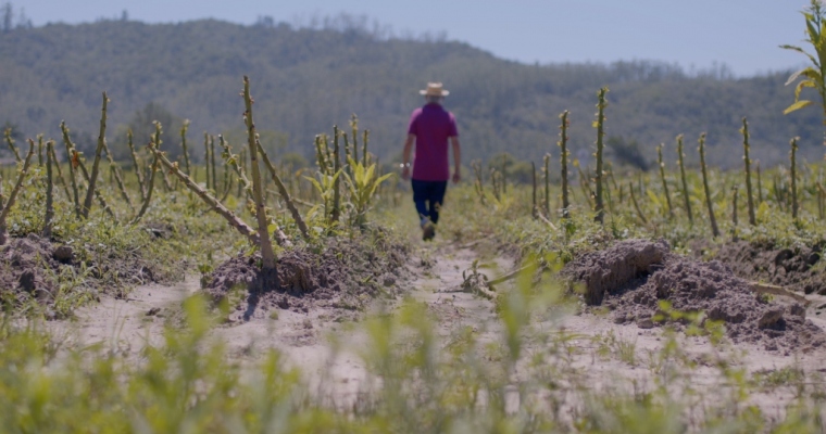 Imagem do post Aposte na agricultura orgânica com o apoio do Microcrédito Rural